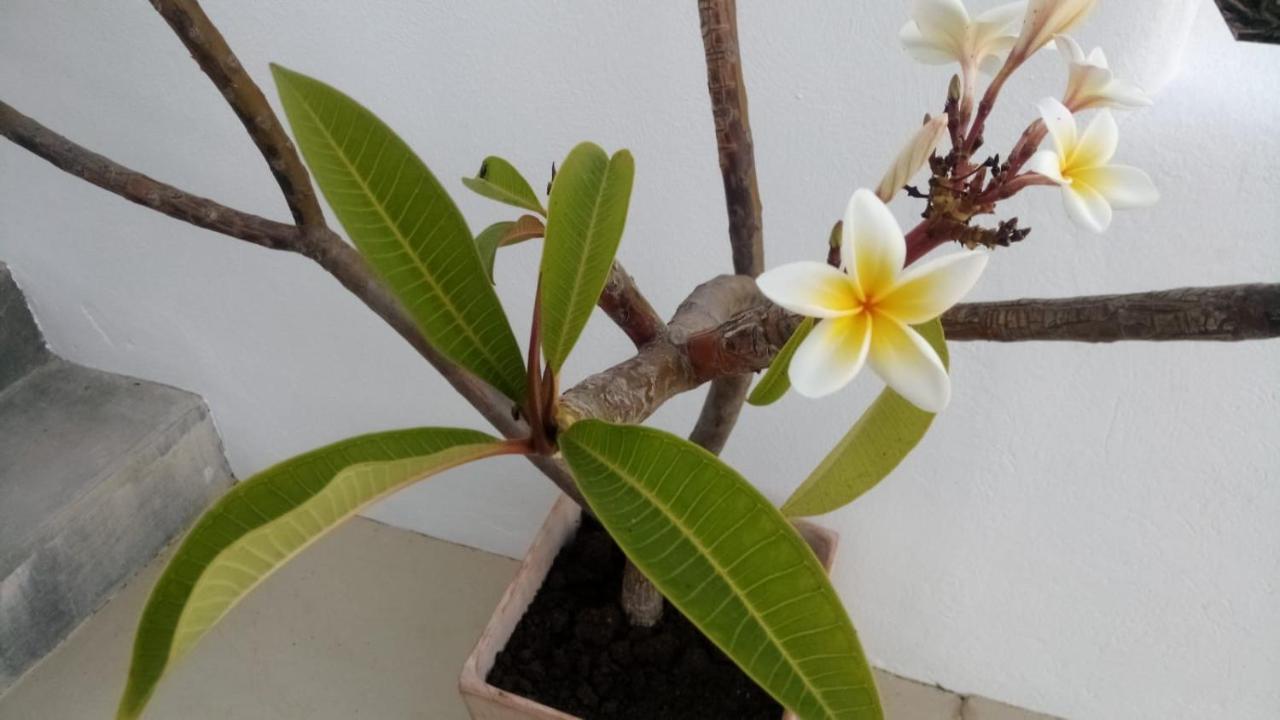 Casa Sol Y Luz - Pensión Carboneras